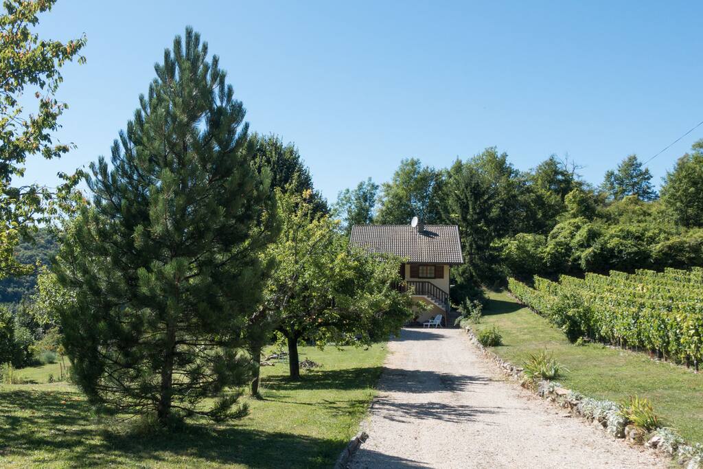 Le chalet avec le terrain associé