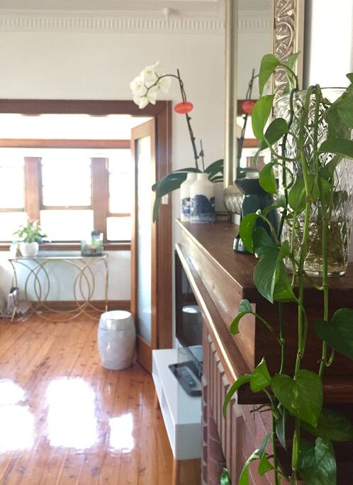 View into the sunroom