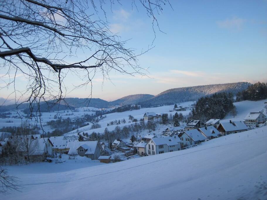 Winter im Schwarzwald