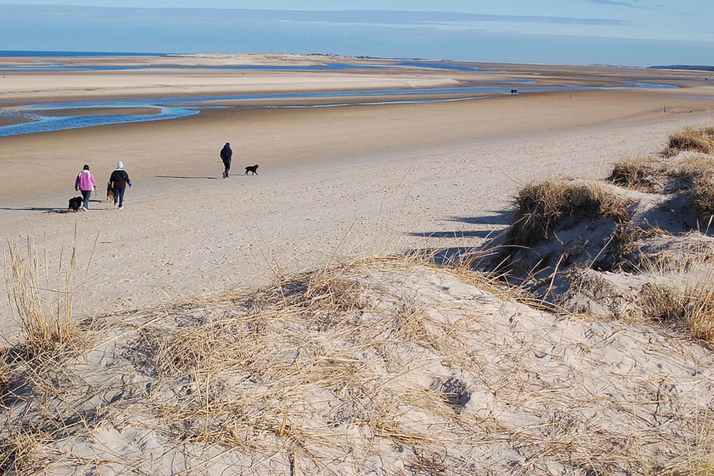 The beach walk from the garden