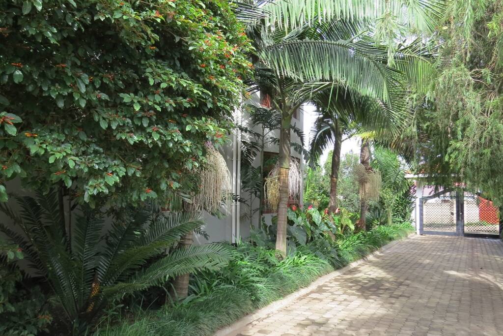 Lush gardens
