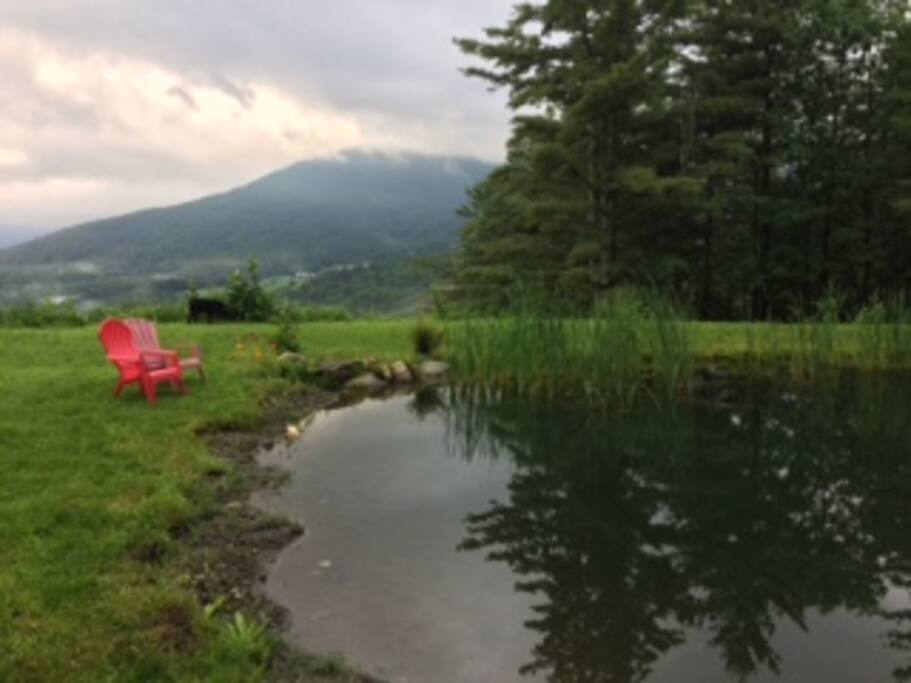 Have coffee by the pond