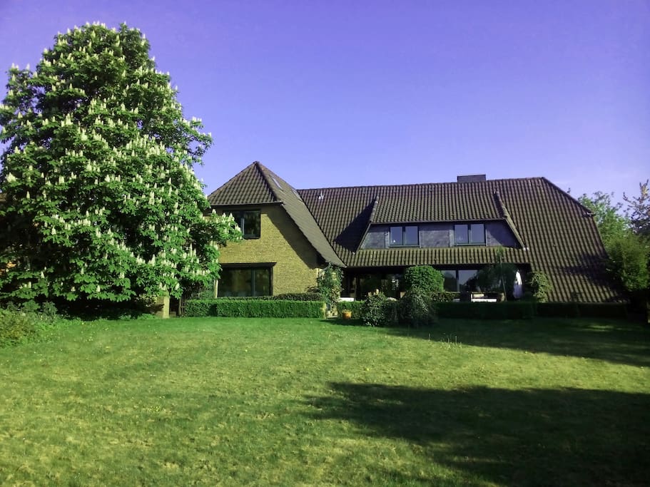 Rückwärtige Ansicht des Hauses mit Garten // Back view of the house from the garden