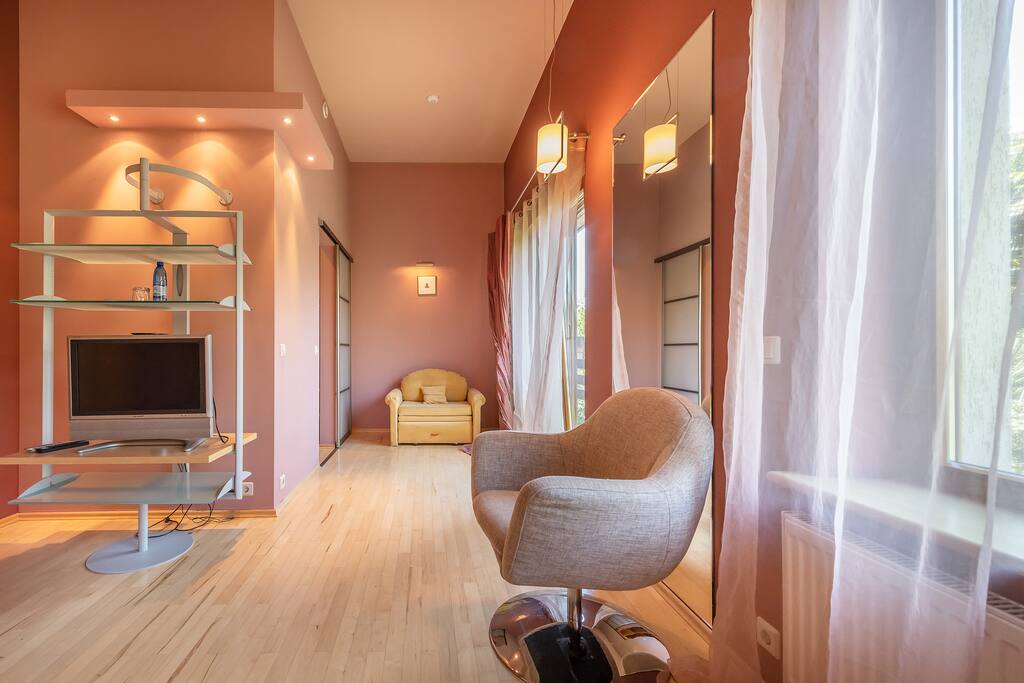 Queen room pull-out bed and TV