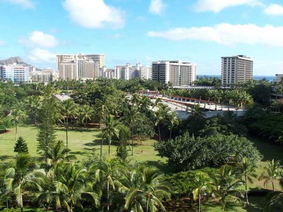 View from living room