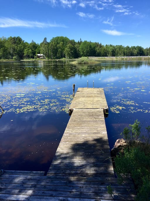 The cottage is privately by the lake - this your own jetty