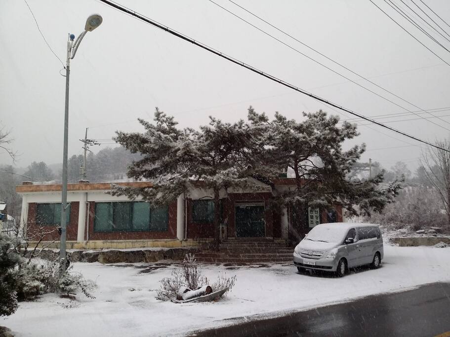 winter scene