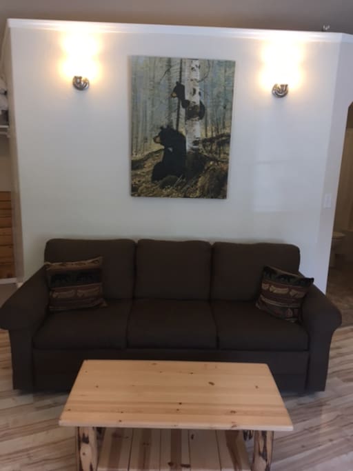 Sofa bed & coffee table