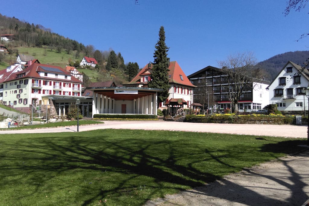 our wonderful park