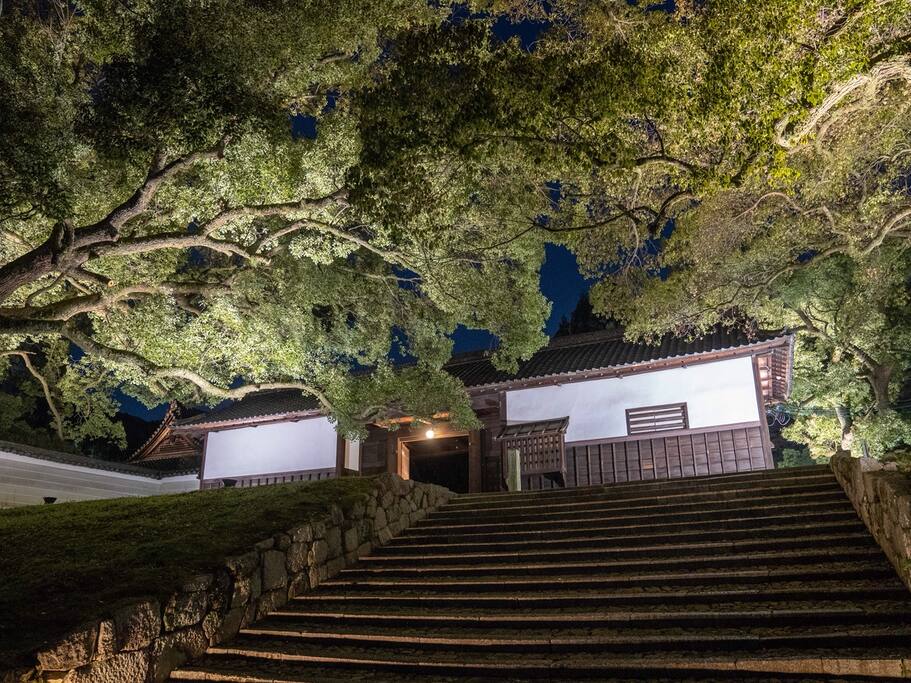 京都 青莲院夜樱 不动明王的炎之光 爱彼迎故事airbnb Com