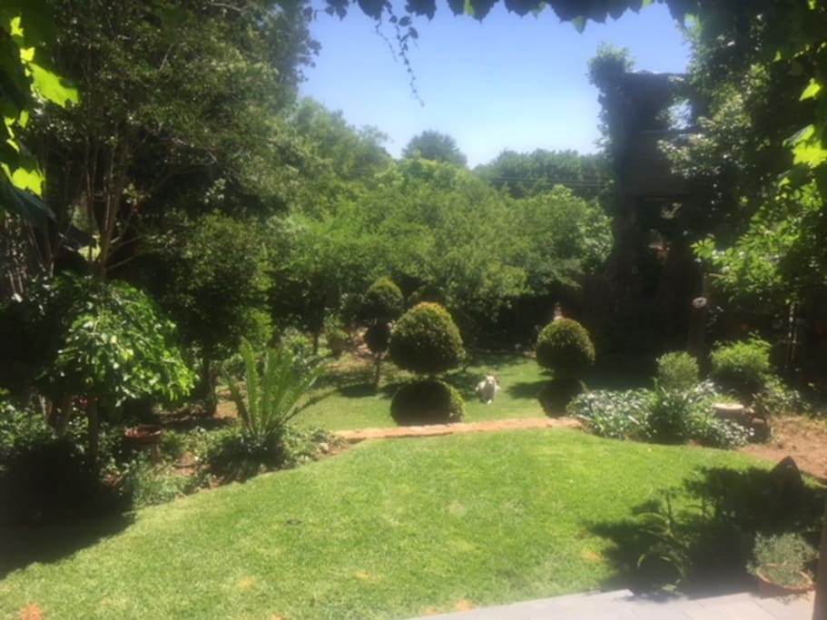 Garden from Porch