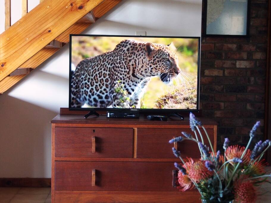 Television