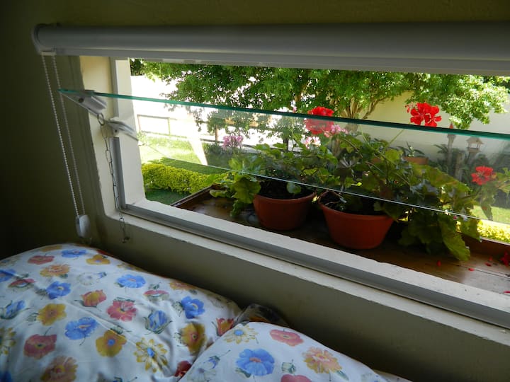 从卧室窗户欣赏美景