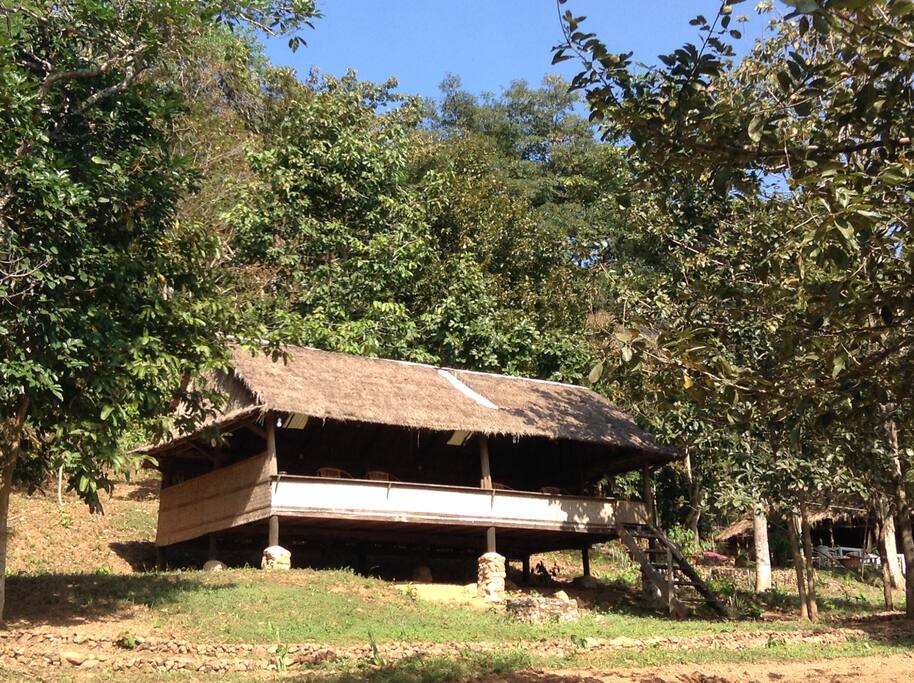 The longhouse