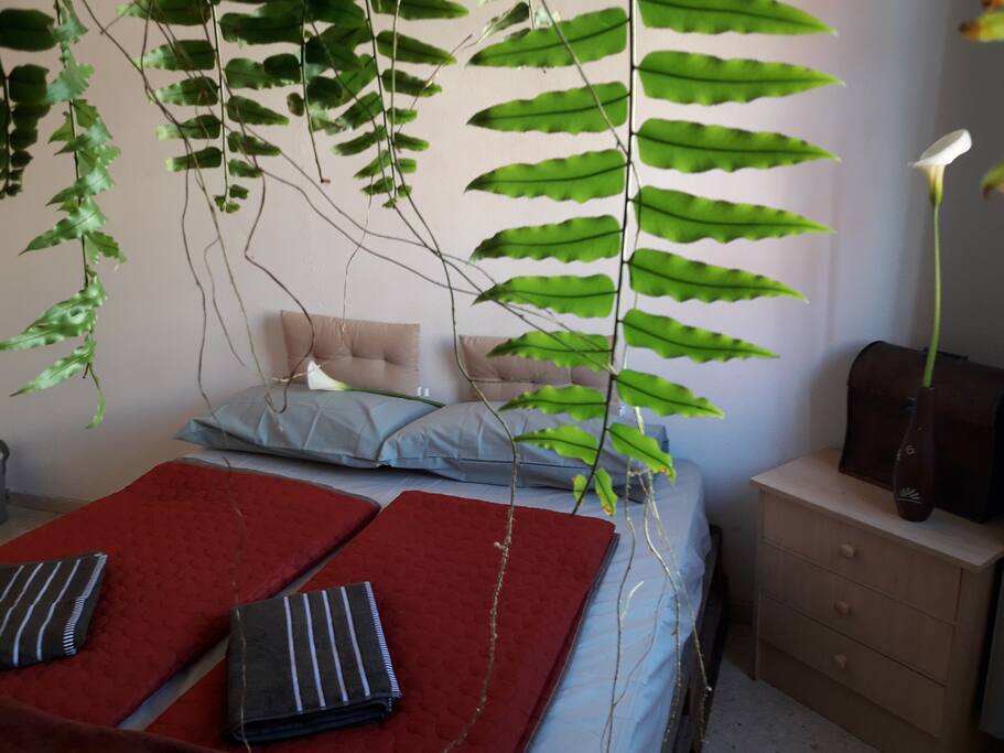 Habitación San Amaro I