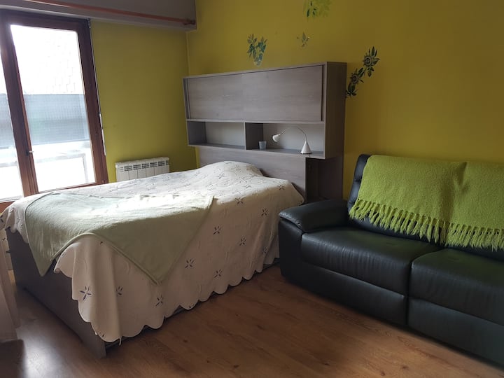 studio in the heart of Aix les Bains Apartments for Rent in Aixles