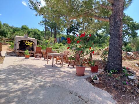 Apartmani DaliborT 1