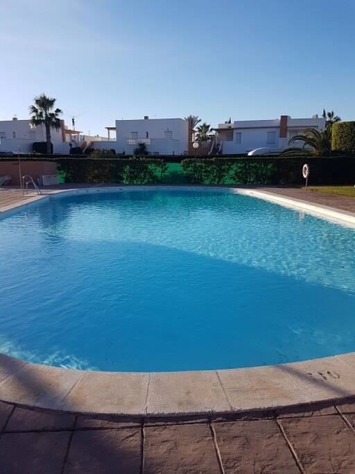 Communal Pool