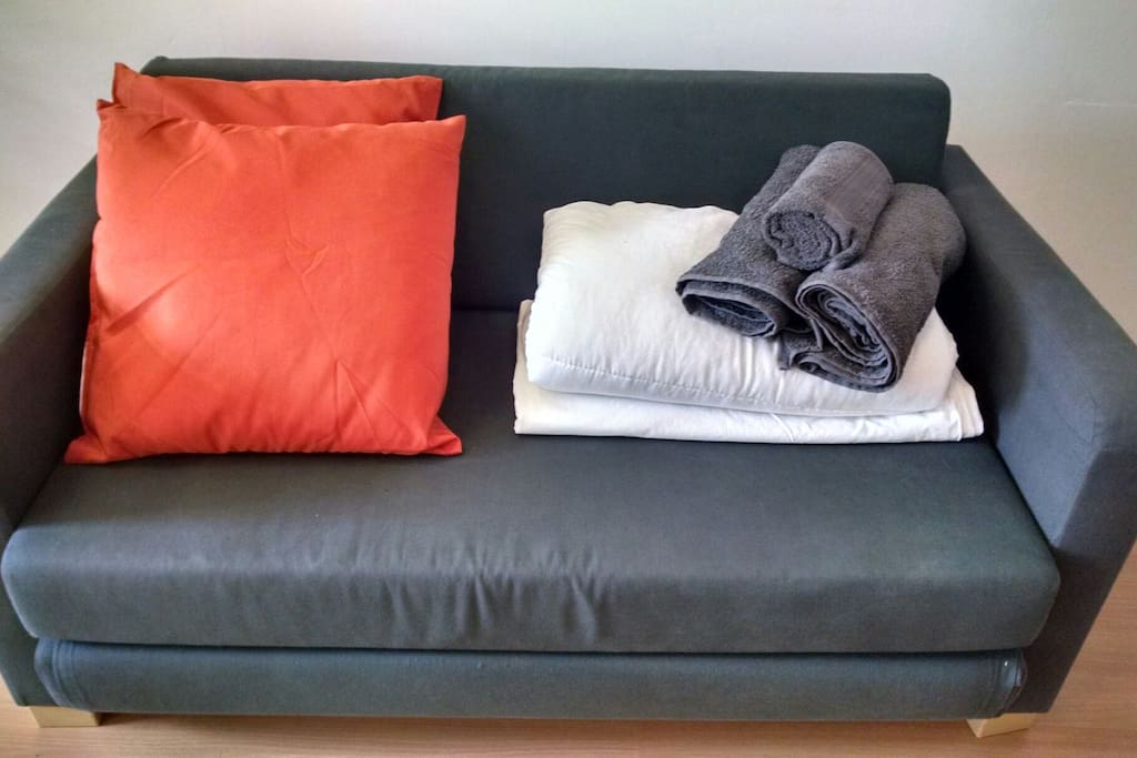 (Your room) Sofa bed for 2 pp