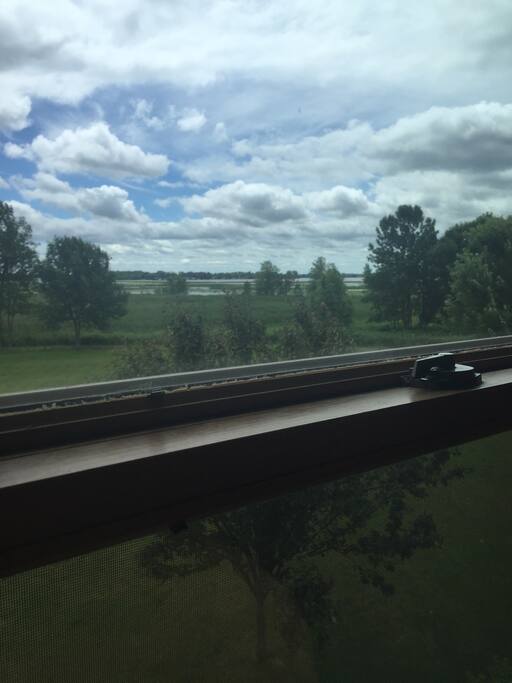 View from the bed room