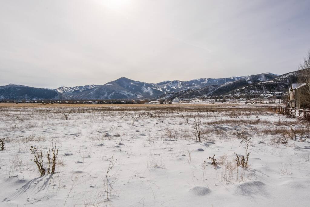 Swaner Nature Preserve