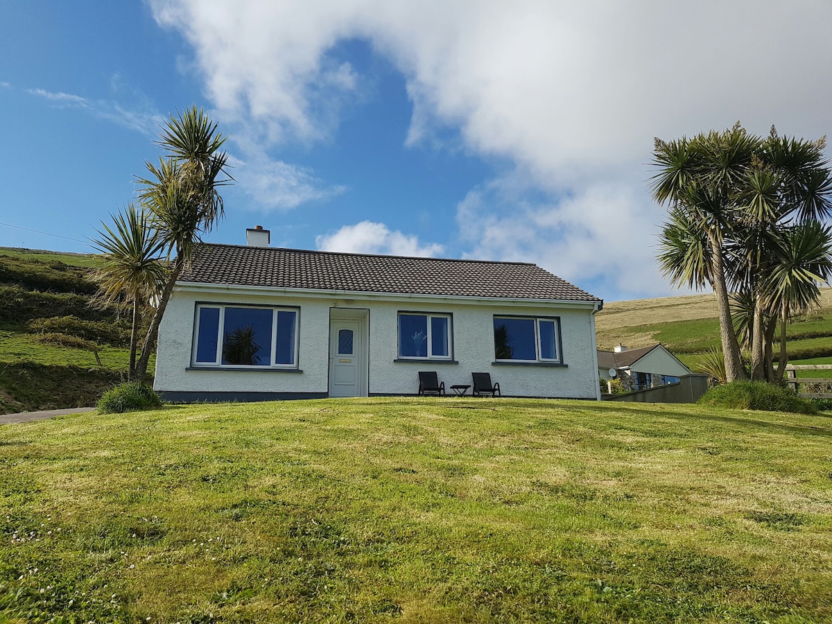A charming cottage is set on a gentle slope, framed by green grass and palm trees. Large windows reflect the sky and surrounding landscape, while a welcoming front door invites entry. Two outdoor chairs are positioned on the lawn, offering a spot to enjoy the view.