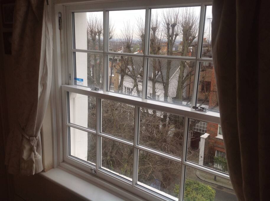 View from front window