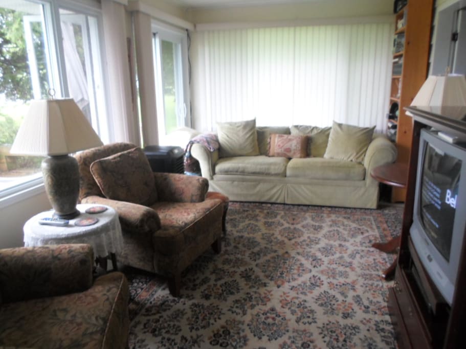 Living Room w. Queen sofa bed