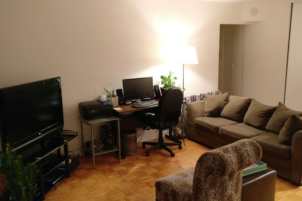 Living room, different angle. Large coach can sleep one very comfortable.