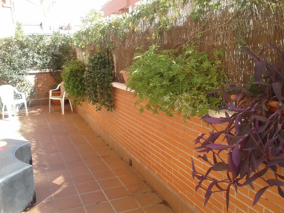 Room's terrace