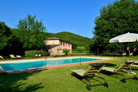 Grape Apartment, 7 km from Perugia