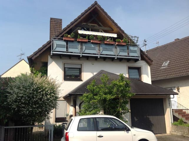 1 bedroom apartment '' Mendelini ''