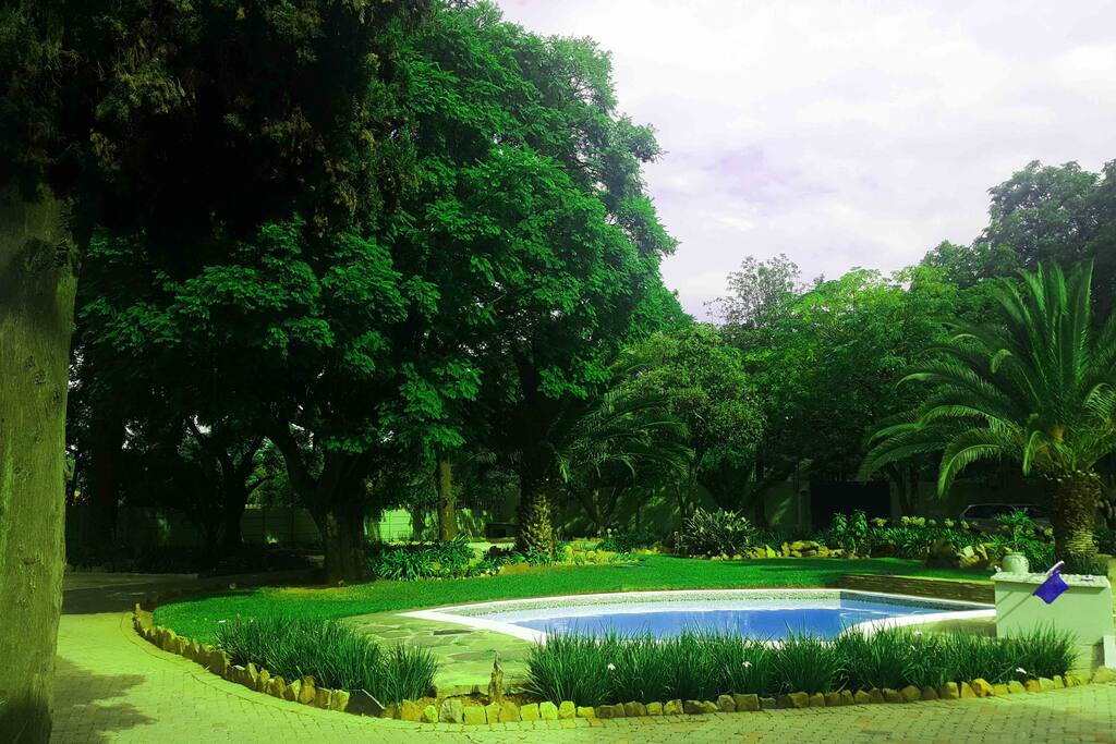 Our piece of heaven right here, a swimming pool well-placed on DYI green island. A place where all our guests love to retire to, in order to relax after a very long day...