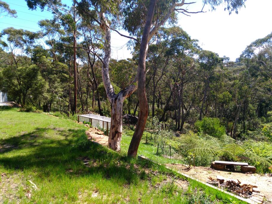 Surrounded by bush on all sides