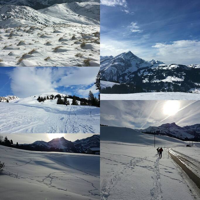 Cross skiing above Lauenen