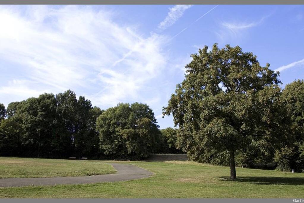 Park vor der Haustür