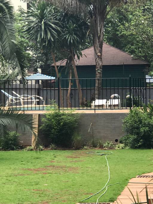Pool/Garden