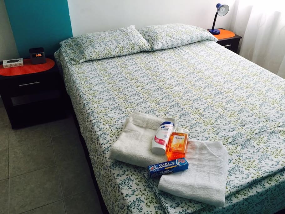 Master Bedroom: Double Size Bed, Two Night Tables, Bluetooth FM Radio and Alarm, Night/Reading Light, Closet, Luggage Stand, AC.