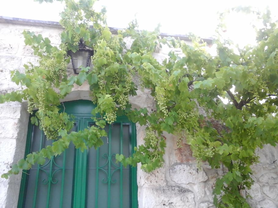 Portone d'ingresso
