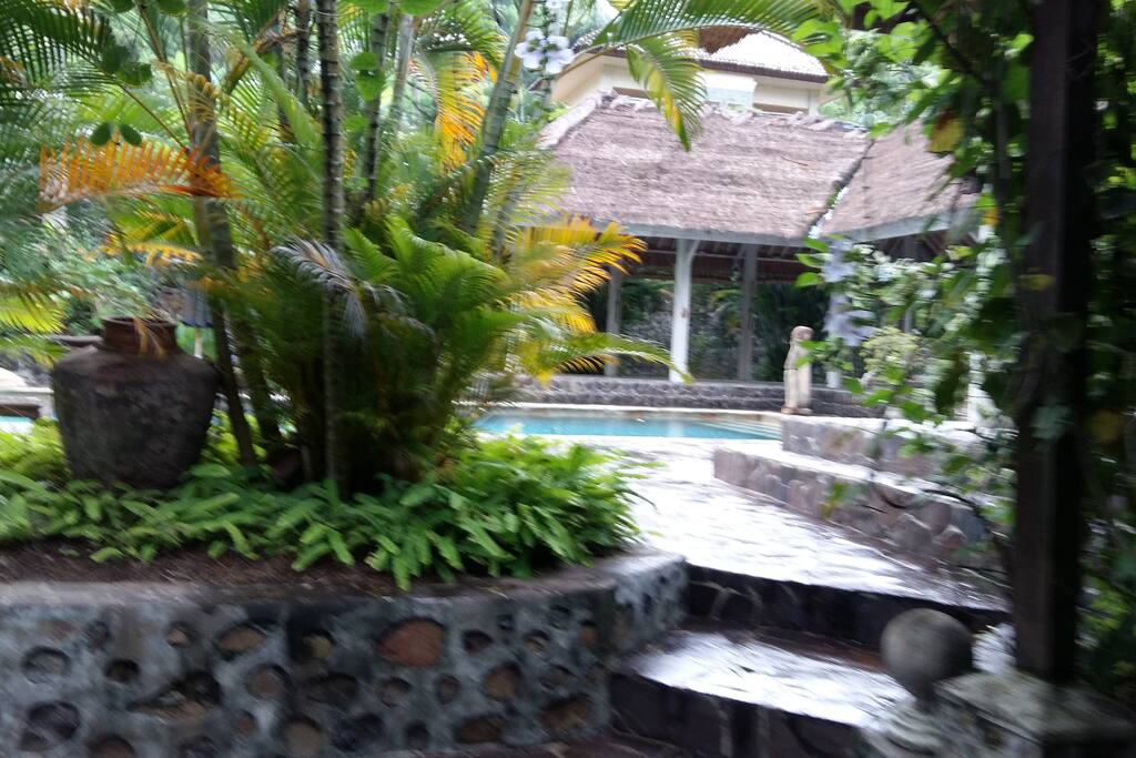 To the pool