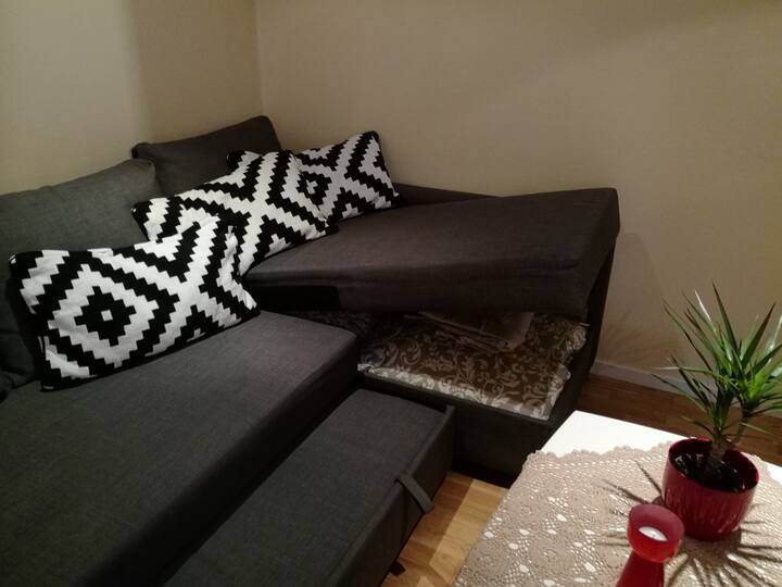 Sofa-bed for 2 people. Sofa can be opened for dobbeltbed... and in sofabox there is bedclothes too. Please check there if you need something