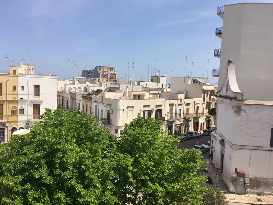 Panoramic view of the square