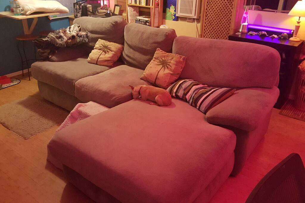 Feather down ultimately plush and comfortable brand new couch!