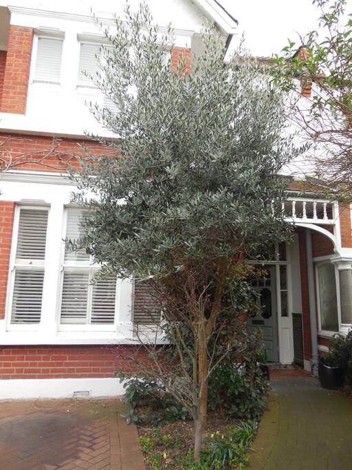 Front of house.
