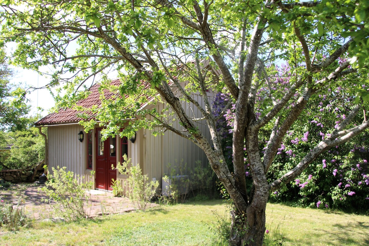 A charming wooden house is nestled among lush greenery, framed by a blooming tree. The exterior features light-colored siding and a red door, welcoming guests. Surrounding garden areas showcase vibrant foliage and flowers, creating a serene outdoor environment.