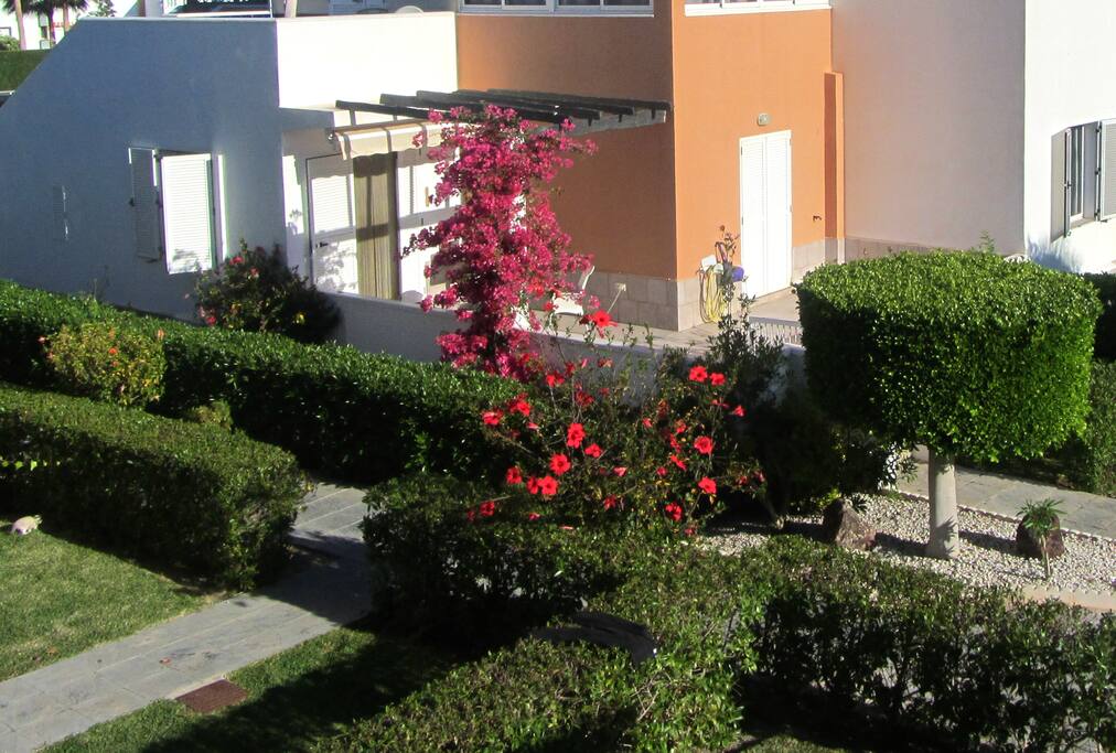 Surrounded by green areas, ideal for sunbathing in nature