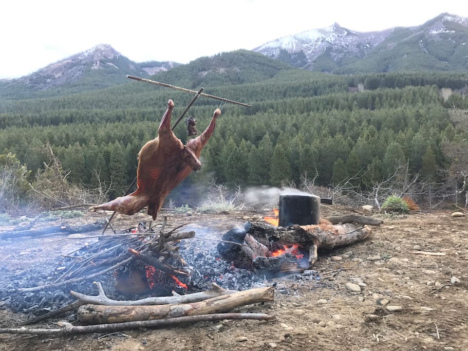 Cordero Patagonico - Lamb from Patagonia "asador" style. It goes great with local beer.