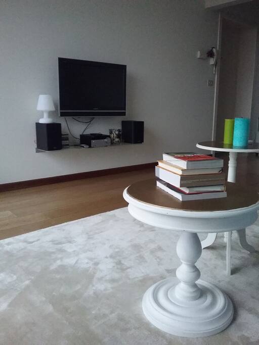 Living room with television and music installation
