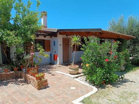 Top performing Airbnb: Vacation House close to the sea and services in Sant'anna Arresi