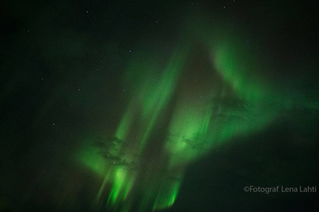 Northern light